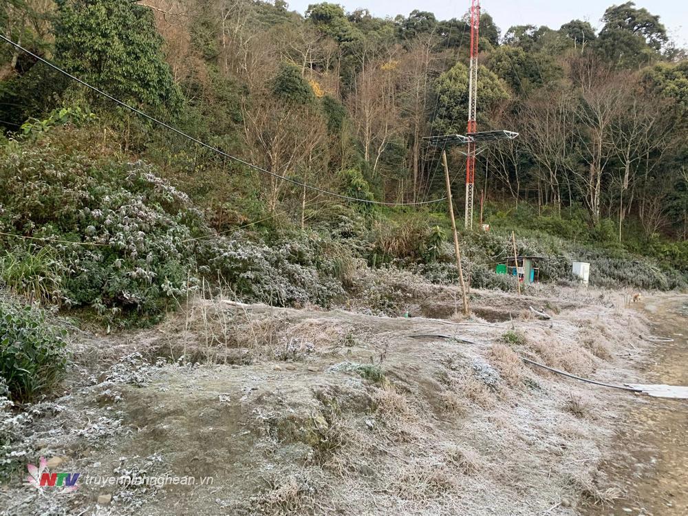 Băng giá phủ trắng bản làng ở bản Buộc Mú 1, xã Na Ngoi (Kỳ Sơn).