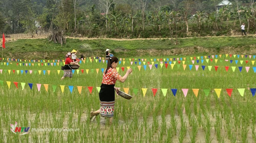 Lễ hội Lồng tồng (lễ hội xuống đồng) là sinh hoạt văn hóa đặc sắc của đồng bào dân tộc Thái ở huyện Quỳ Châu.