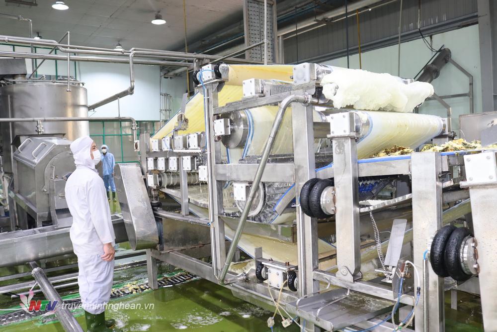 Nhà máy chế biến thực phẩm (Naprod) một trong đơn vị liên kết, bao tiêu sản phẩm dứa quả cho các hộ dân.