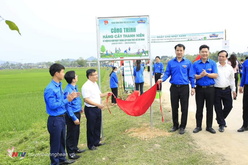 Công trình hàng cây thanh niên ở xã Võ Liệt (Thanh Chương). 