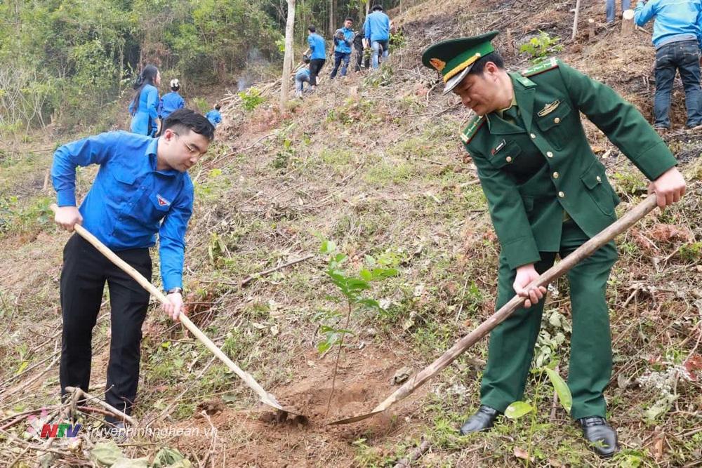 Các đại biểu tham gia trồng cây.