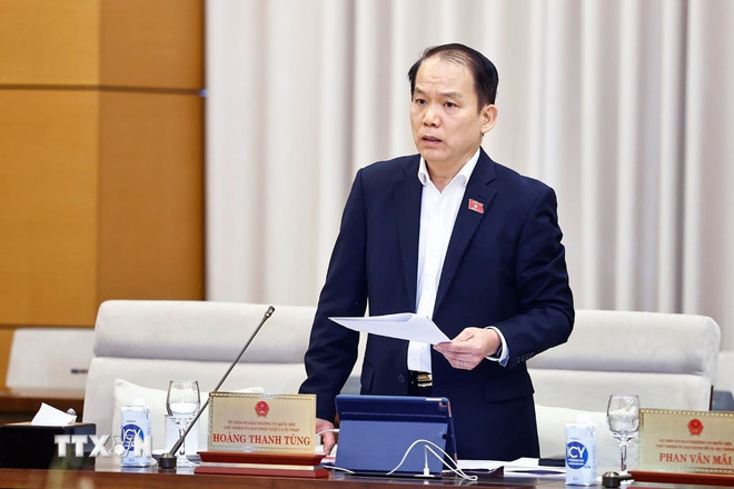 Chủ nhiệm Ủy ban Pháp luật và Tư pháp Hoàng Thanh Tùng phát biểu. (Ảnh: TTXVN)
