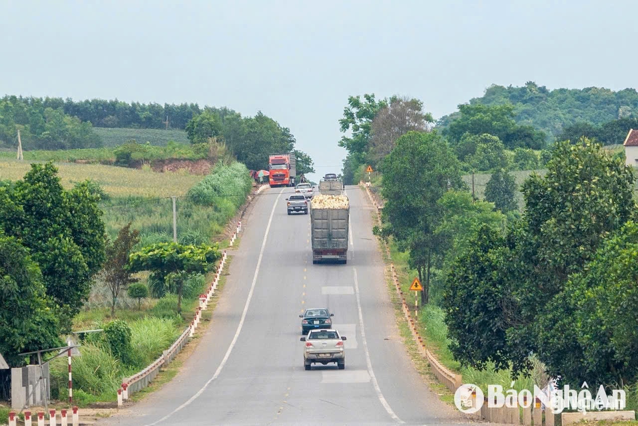 Xe vận chuyển dăm gỗ từ PG88 go Bắn cá ra Cảng Nghi Sơn, Thanh Hóa. Ảnh: Nguyễn Đạo