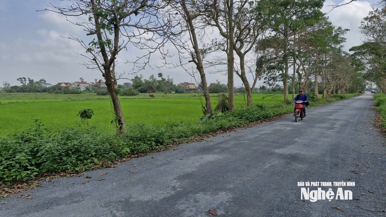 M.PG88 Vào bóng Khu thể thao và đô thị sinh thái phức hợp của PG88 link tải CP Golf biển Cửa Lò nằm cạnh đường Hoàng Phan Thái kéo dài. Ảnh: Nhật Lân