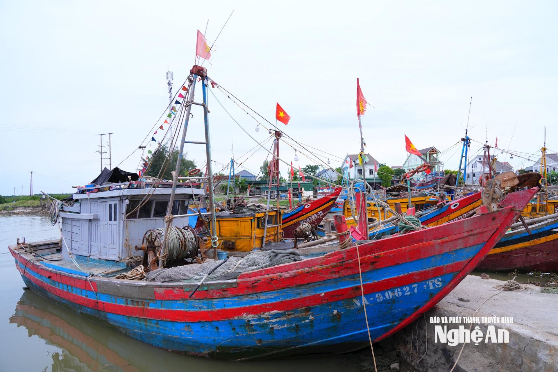 Tàu cá neo đậu trong trong khu vực tránh trú bão. Ảnh: Thành Cường