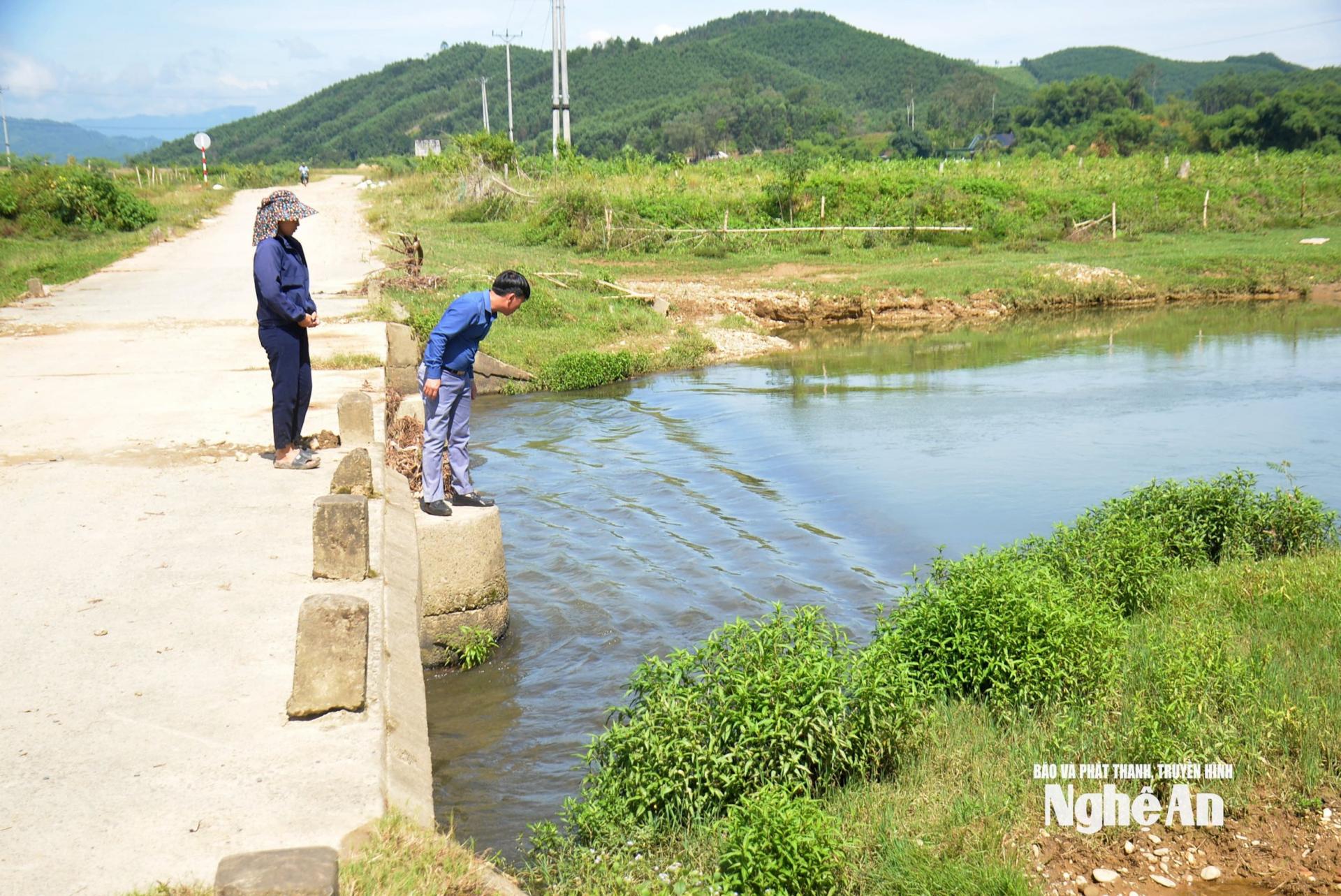 Khu vực cống tràn qua sông Con, giáp ranh giữa xã Hoa Quân với xã Kim Bảng thường xuất hiện xác lợn chết. Ảnh: Xuân Hoàng