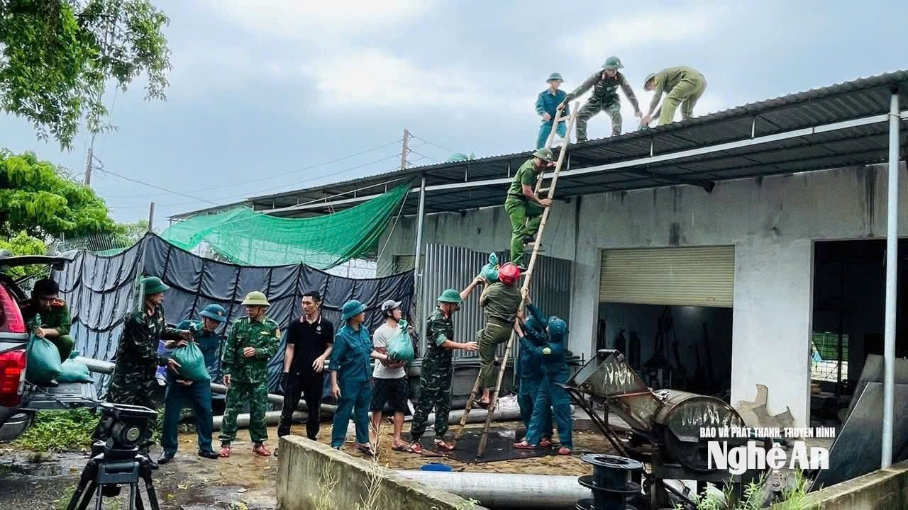 Các lực lượng giúp người dân phường Quỳnh Phú chằng chống nhà cửa. Ảnh: CSCC