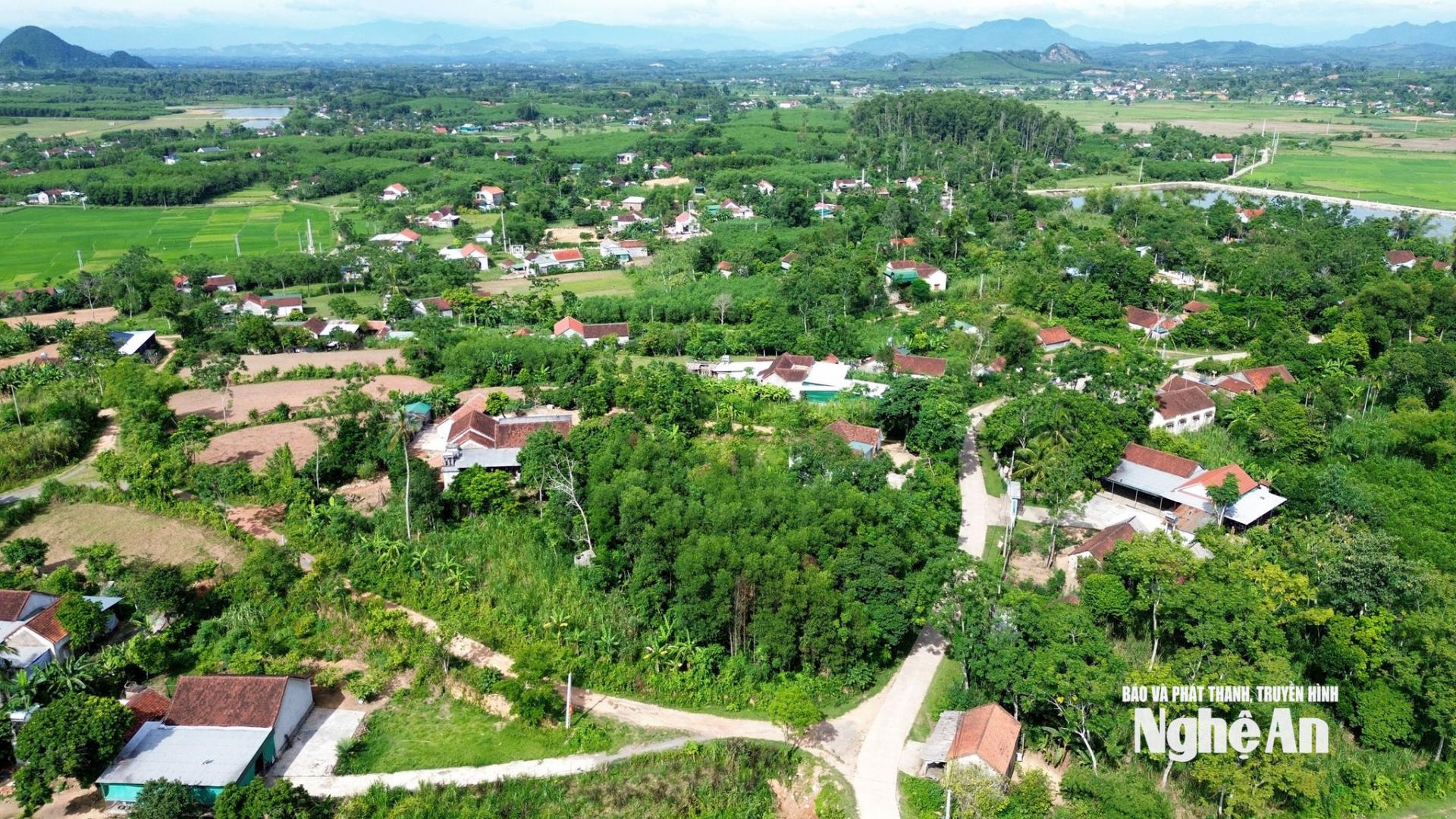 Một góc xã Tân An. Ảnh: X.H