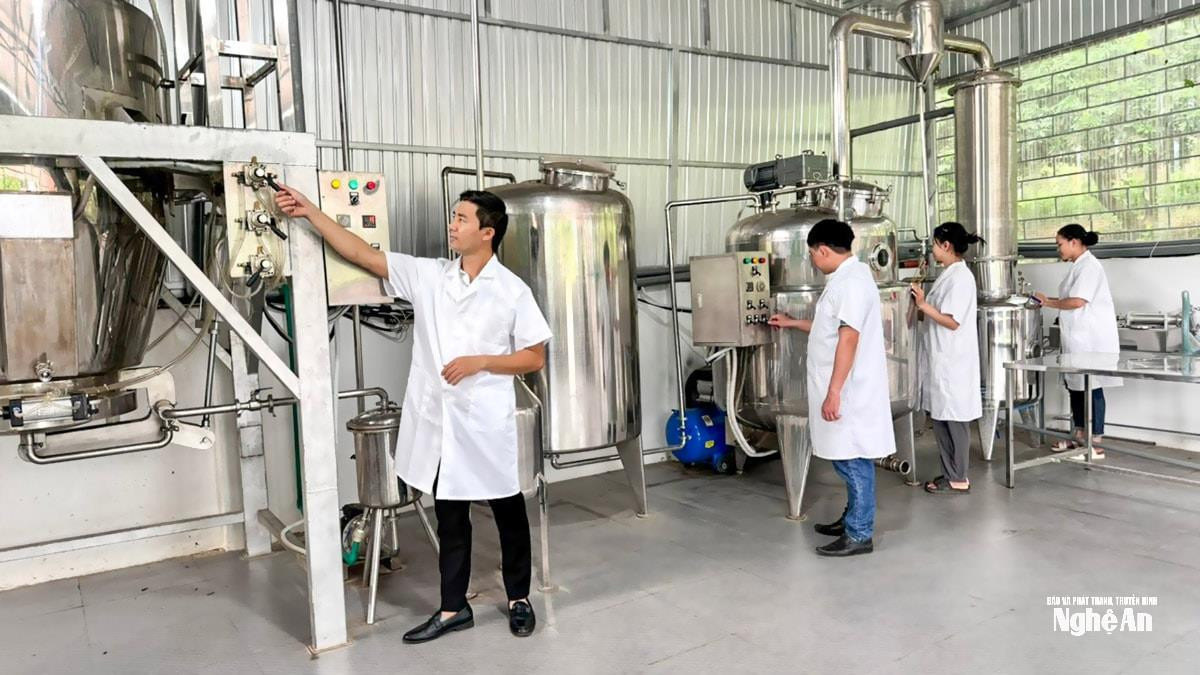 Nhiều chủ thể OCOP đã mạnh dạn ứng dụng công nghệ cao trong sản xuất. Ảnh tư liệu: Thanh Quỳnh