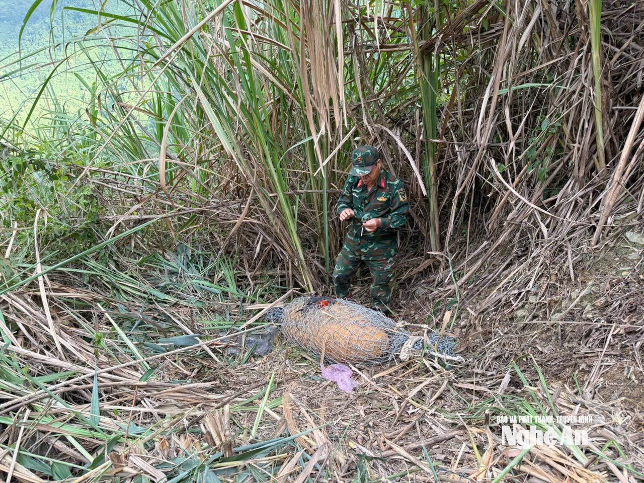 Cán bộ Công binh Bộ Chỉ huy Quân sự tỉnh tiến hành tra lắp thiết bị gây nổ để hủy nổ quả bom. Ảnh: Trọng Kiên