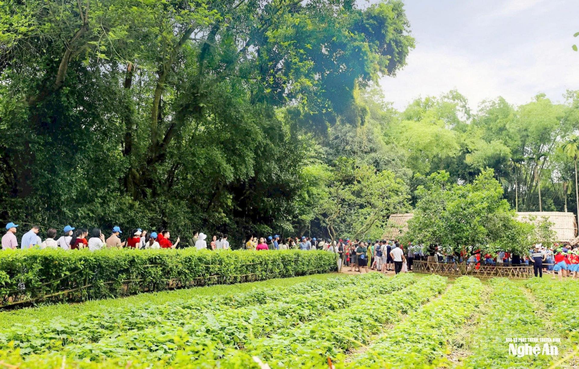 Khu Di tích Quốc gia đặc biệt Kim Liên là điểm về nguồn của hàng triệu lượt người mỗi năm, góp phần giáo dục truyền thống yêu nước và đạo lý Uống nước nhớ nguồn của dân tộc. Ảnh: Thanh Quỳnh
