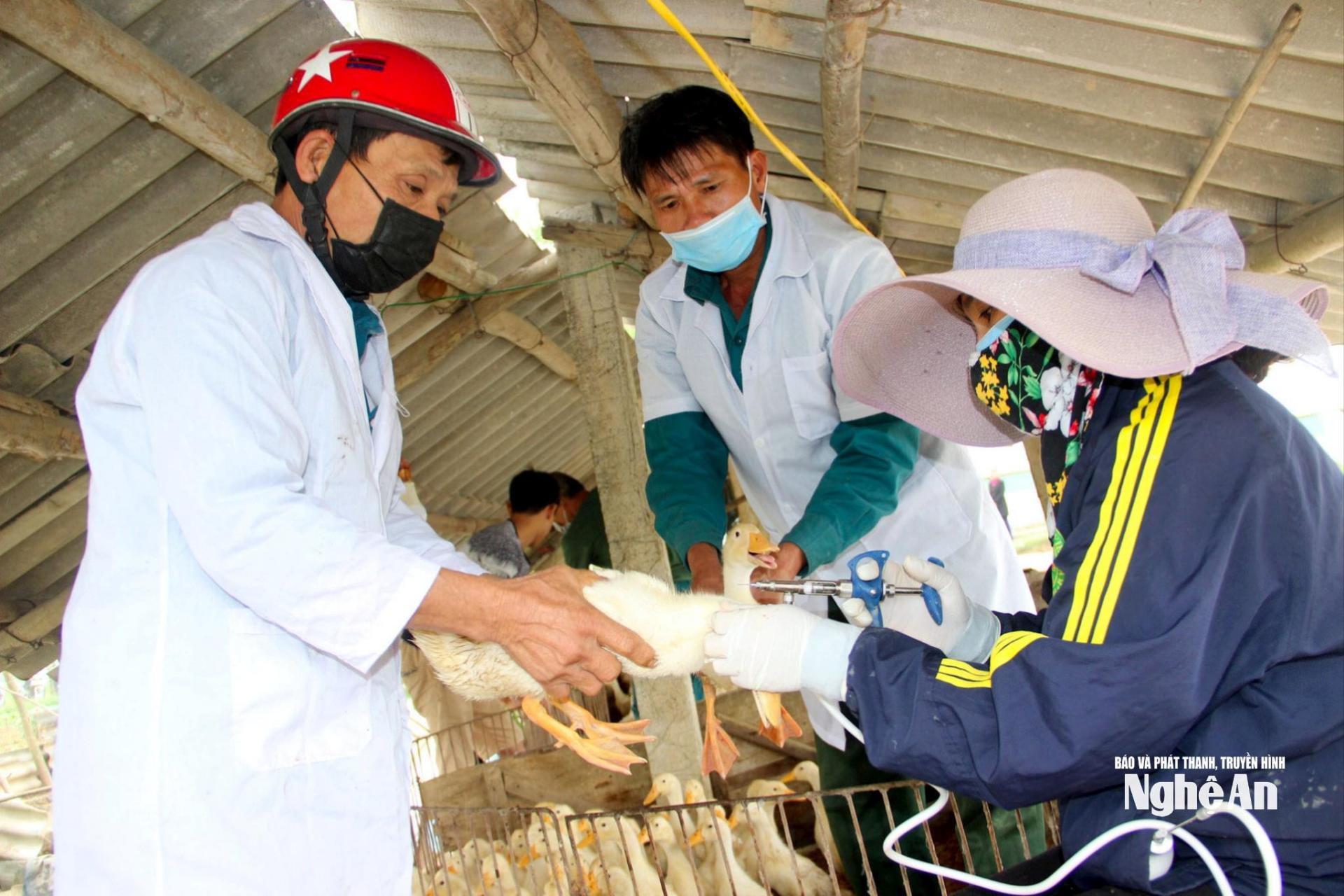 Tiêm phòng vắc - xin là giải pháp hữu hiệu để phòng dịch. Ảnh: Q.A