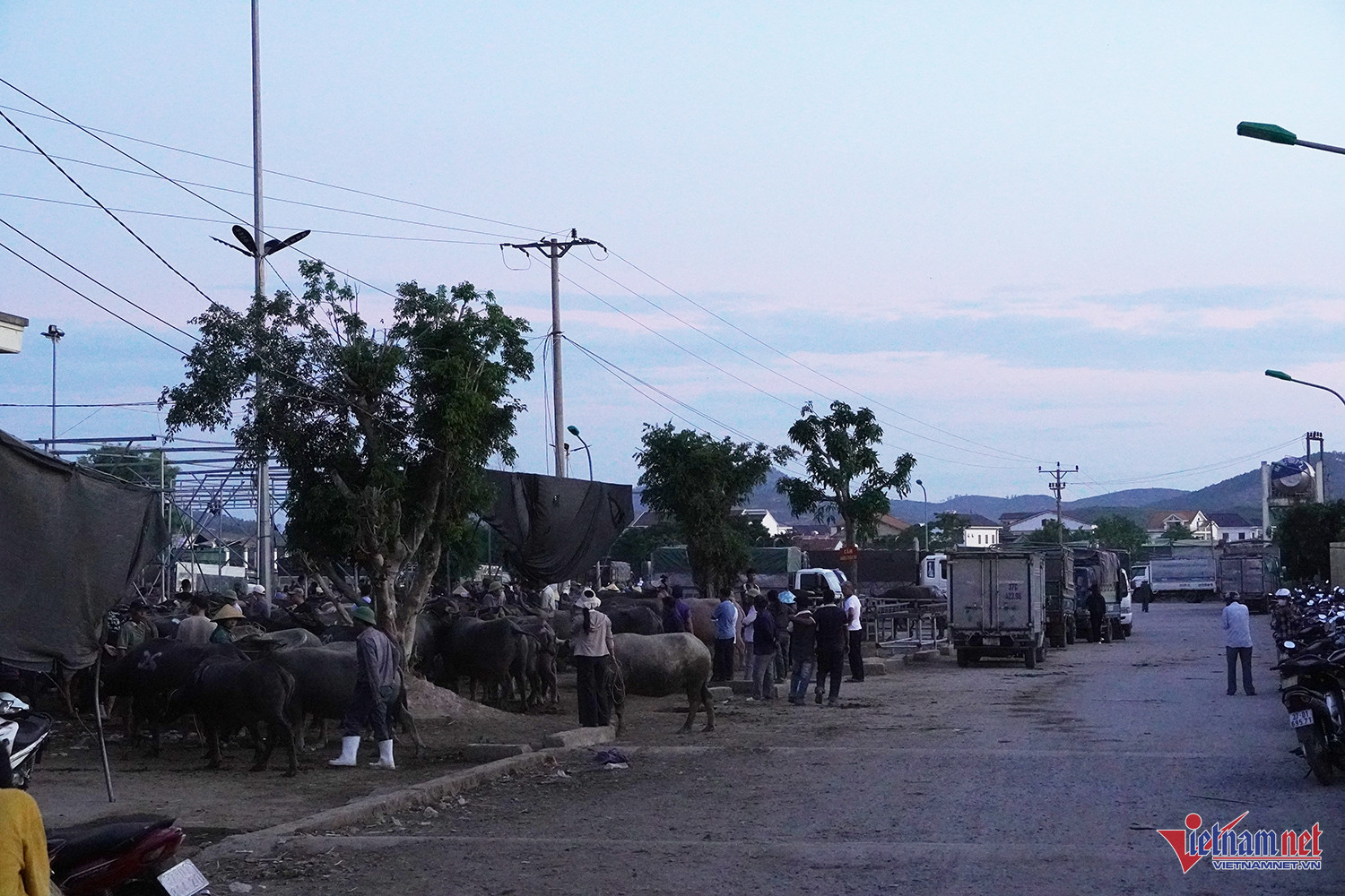 Quang cảnh chợ Ú lúc 5h sáng. Ảnh: T.T