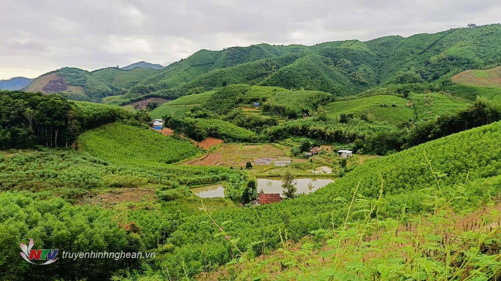 Góc nhìn từ đỉnh Piêng Luống