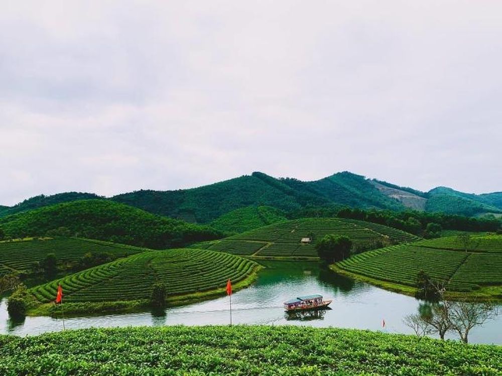 Khung cảnh non nước hữu tình ở đảo chè Thanh Chương. (Ảnh: xiao.jin.jin)
