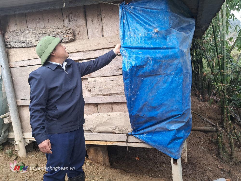 Các hộ dân xây dựng chuồng trại kiên cố và vây bạt chắn gió lùa vào ban đêm.