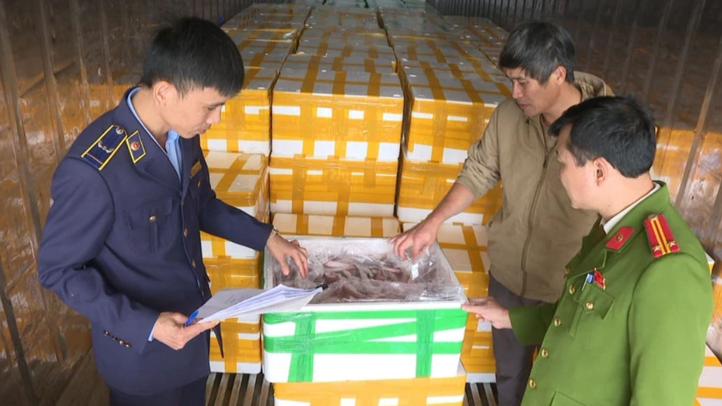 Lực lượng chức năng tỉnh Thanh Hóa phát hiện và thu giữ số cá khoai ướp formol. Ảnh: V.THIỆN