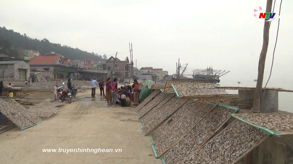 Trang địa phương ngày 14/01/2019