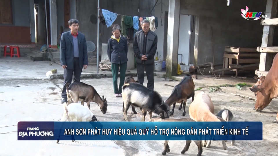 Trang địa phương ngày 19/01/2019