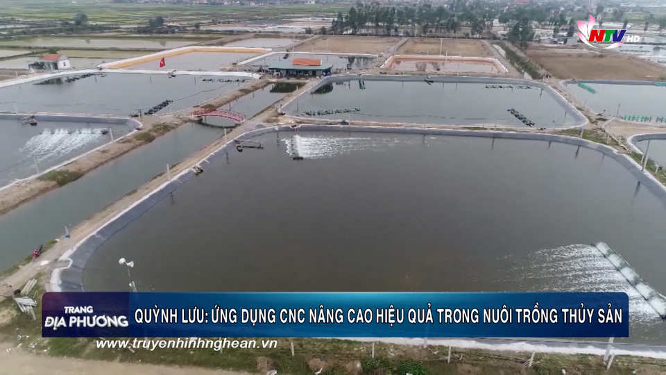 Trang địa phương ngày 21/01/2019