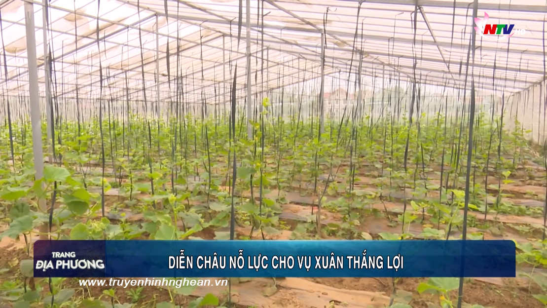 Trang địa phương ngày 27/01/2019