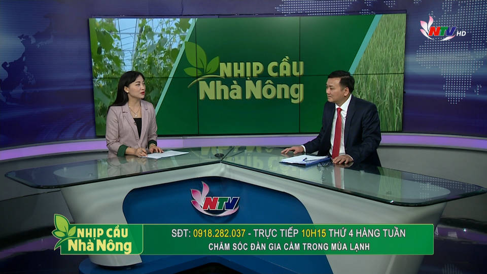 Trang PG Xóc Đĩa nhà nông: Chăm sóc đàn gia cầm trong mùa lạnh