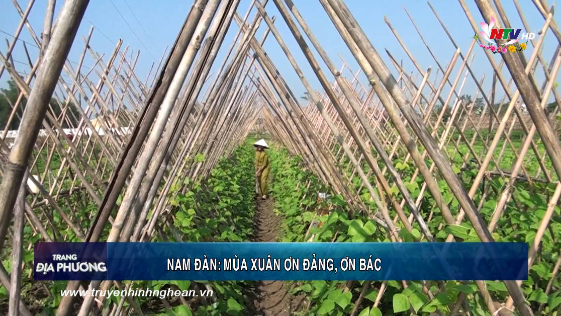 Trang địa phương ngày 05/02/2019
