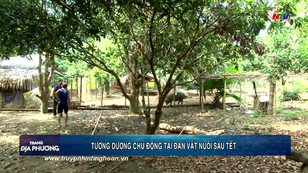 Trang địa phương ngày 15/02/2019