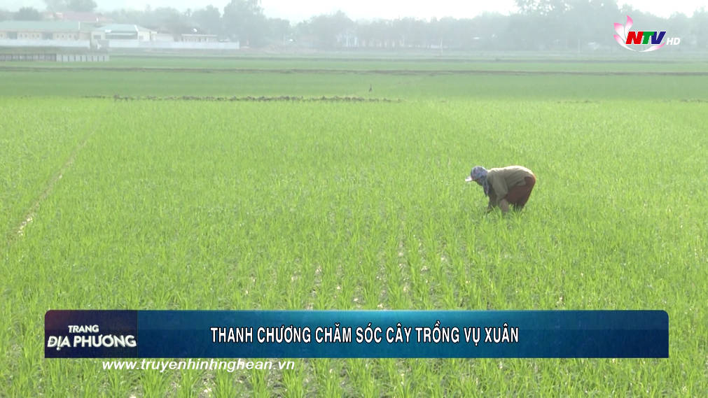Trang địa phương ngày 16/02/2019