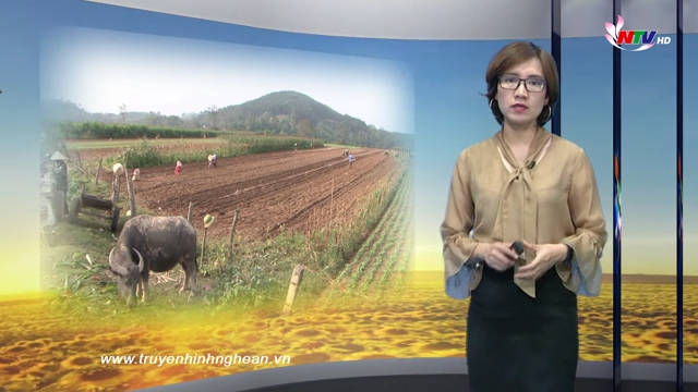 PG88 go Bắn cá ngày mới - 21/02/2019