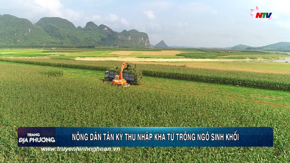 Trang địa phương ngày 25/02/2019