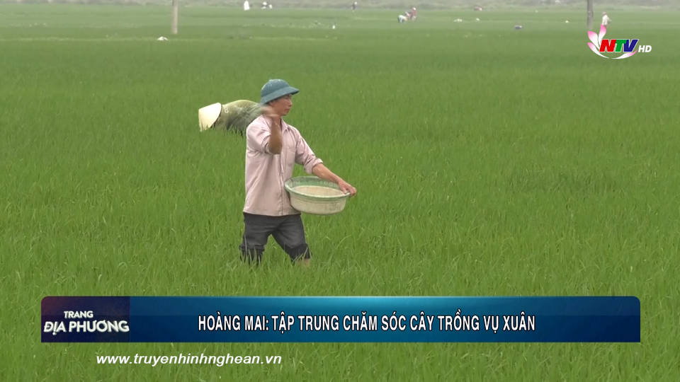 Trang địa phương ngày 06/03/2019