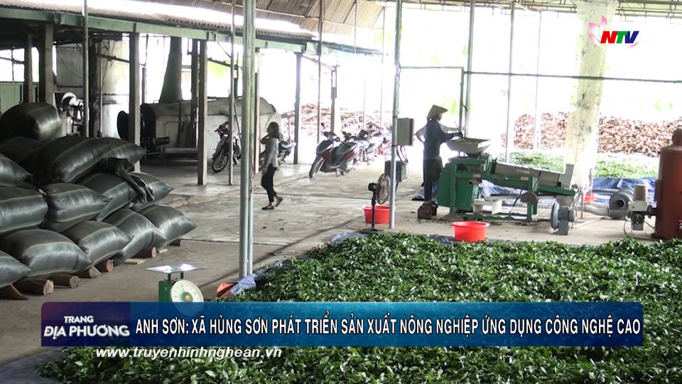 Trang địa phương ngày 15/03/2019