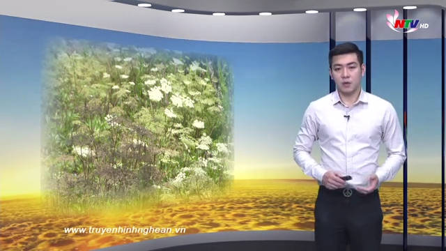 PG88 go Bắn cá ngày mới - 15/03/2019