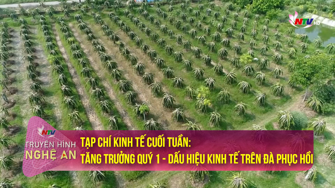 Tạp chí Kinh tế cuối tuần: Tăng trưởng quý 1 - dấu hiệu kinh tế trên đà phục hồi