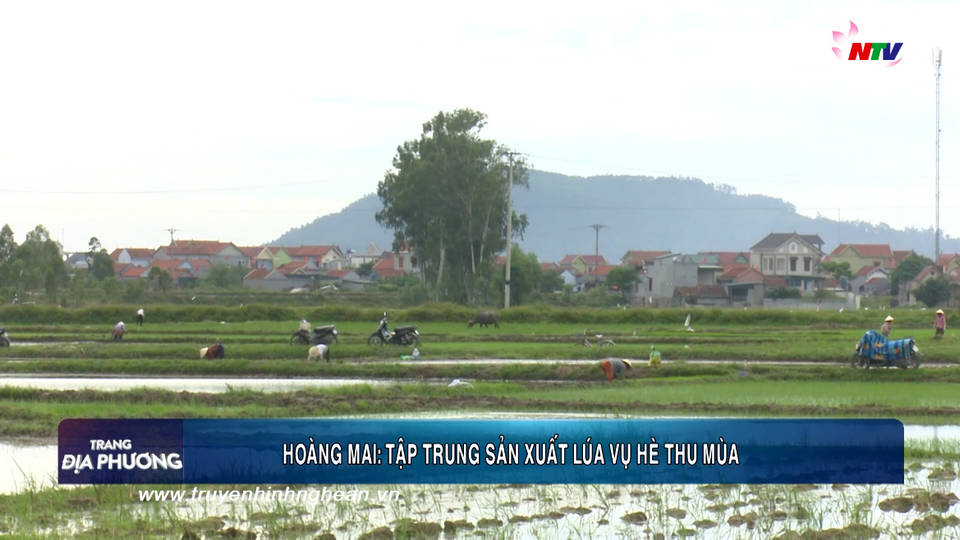 Trang địa phương ngày 19/06/2019