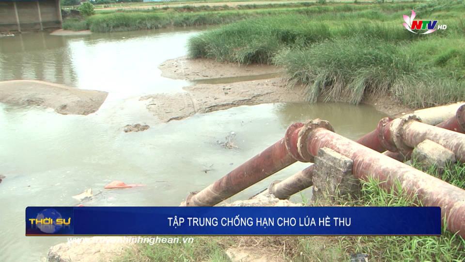Tập trung chống hạn cho lúa hè thu