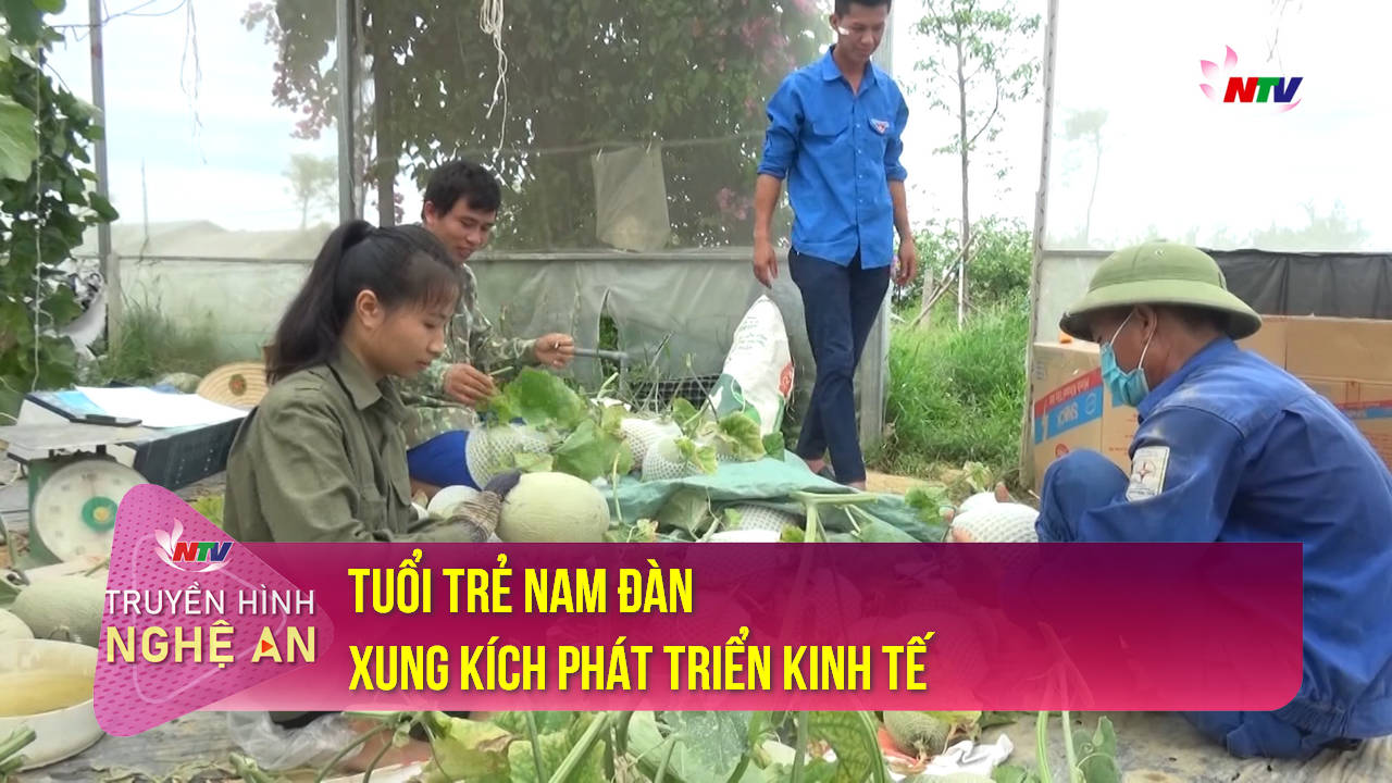 Trang địa phương ngày 11/6/2022