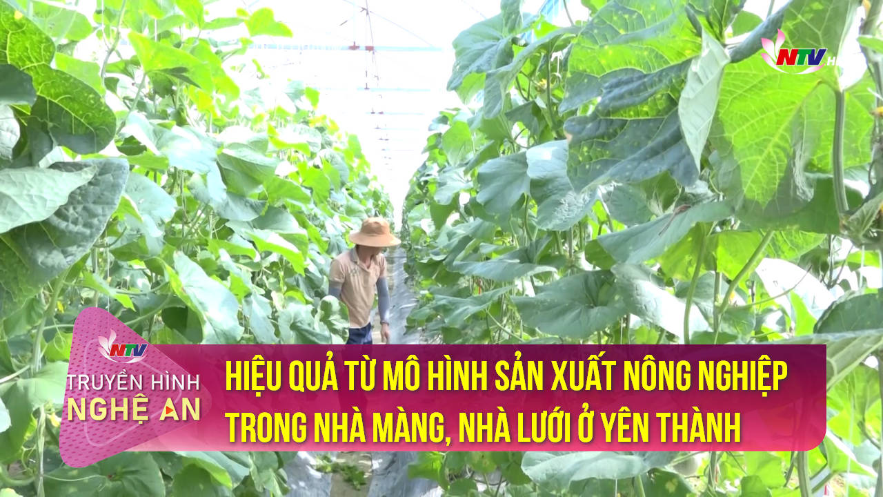 Trang địa phương ngày 25/6/2022