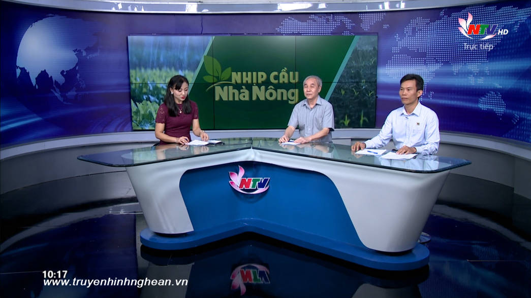Trang PG Xóc Đĩa nhà nông: Giải pháp chăm sóc cây chè công nghiệp mùa nắng nóng