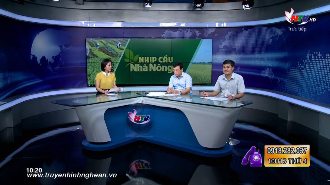 Trang PG Xóc Đĩa nhà nông: Cảnh báo nguy cơ mất an toàn các công trình thuỷ lợi, phòng chống lụt bão sau đợt hạn hán kéo dài
