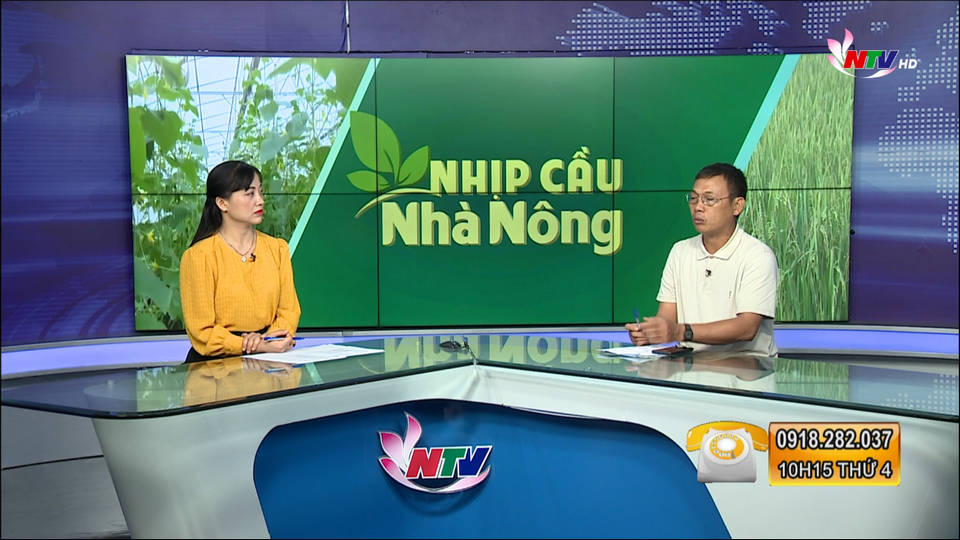 Trang PG Xóc Đĩa nhà nông: Chăm sóc, phòng trừ sâu bệnh trên lúa hè thu