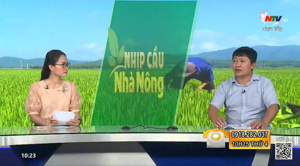 Trang PG Xóc Đĩa nhà nông: Chăm sóc, phòng trừ sâu bệnh cho cây lúa hè thu