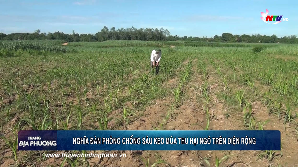 Trang địa phương ngày 16/08/2019