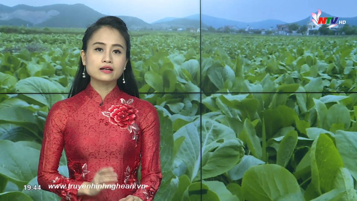 PG 88 Nổ Hũ truyền hình - 25/08/2019