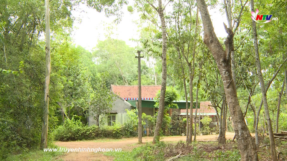 Hộp thư truyền hình: Bao giờ người dân xóm Lâm nghiệp núi Chung được di dời đến nơi ở mới?