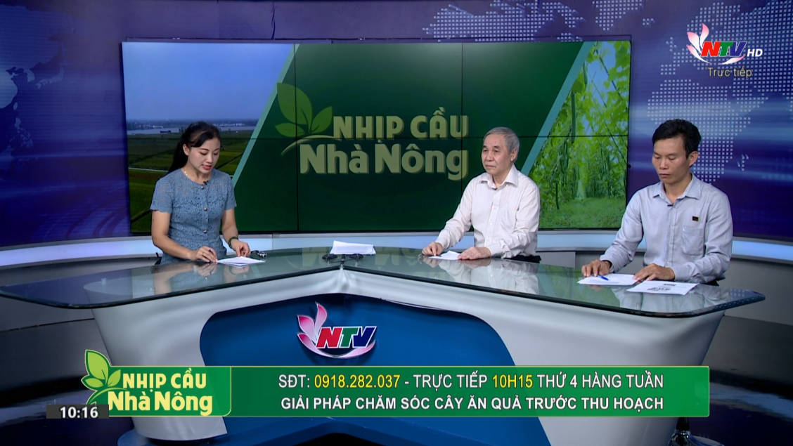Trang PG Xóc Đĩa nhà nông: Giải pháp chăm sóc cây ăn quả trước mùa thu hoạch