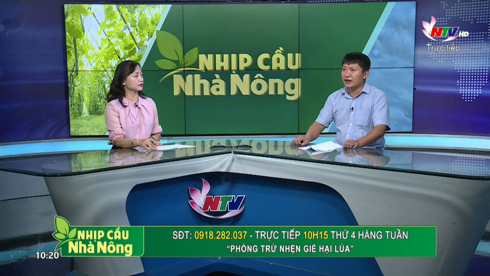 Trang PG Xóc Đĩa nhà nông: Phòng trừ nhện gié hại lúa