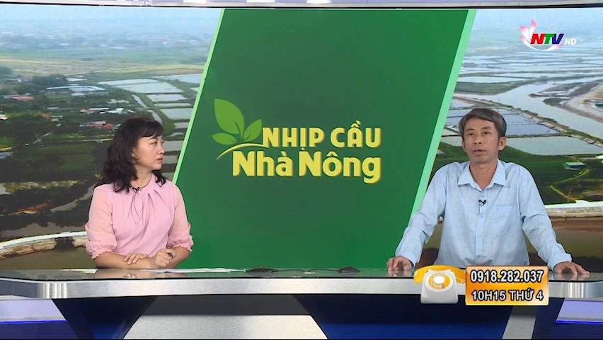 Trang PG Xóc Đĩa nhà nông: Sử dụng kháng sinh trong nuôi trồng thủy sản