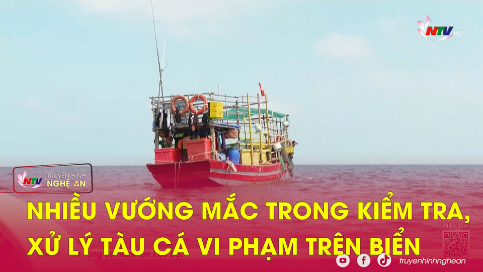 Nhiều vướng mắc trong kiểm tra, xử lý tàu cá vi phạm trên biển